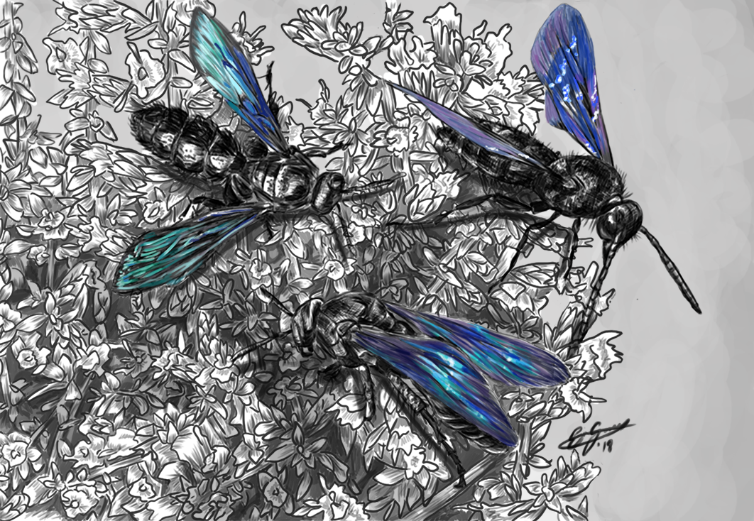 Flowerwasps-Recovered