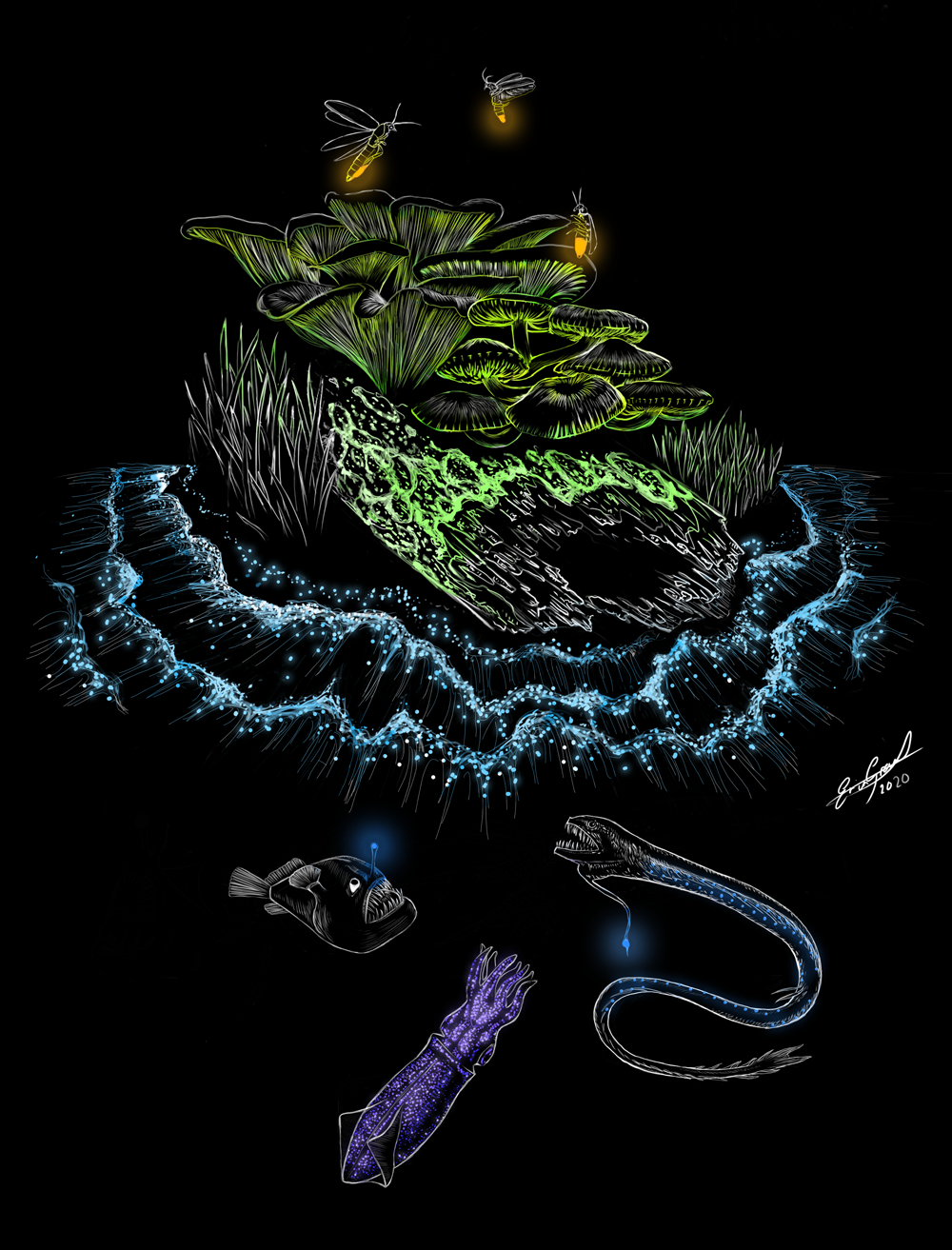 bioluminescence-Recovered